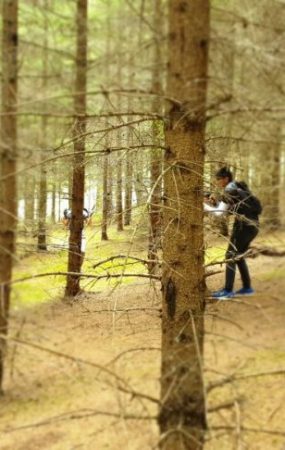 Laser Gaming im Märchenwald