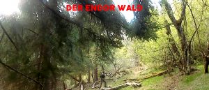 Lasertag Spielareal 2 "Endor" in Liebenfels Kärnten